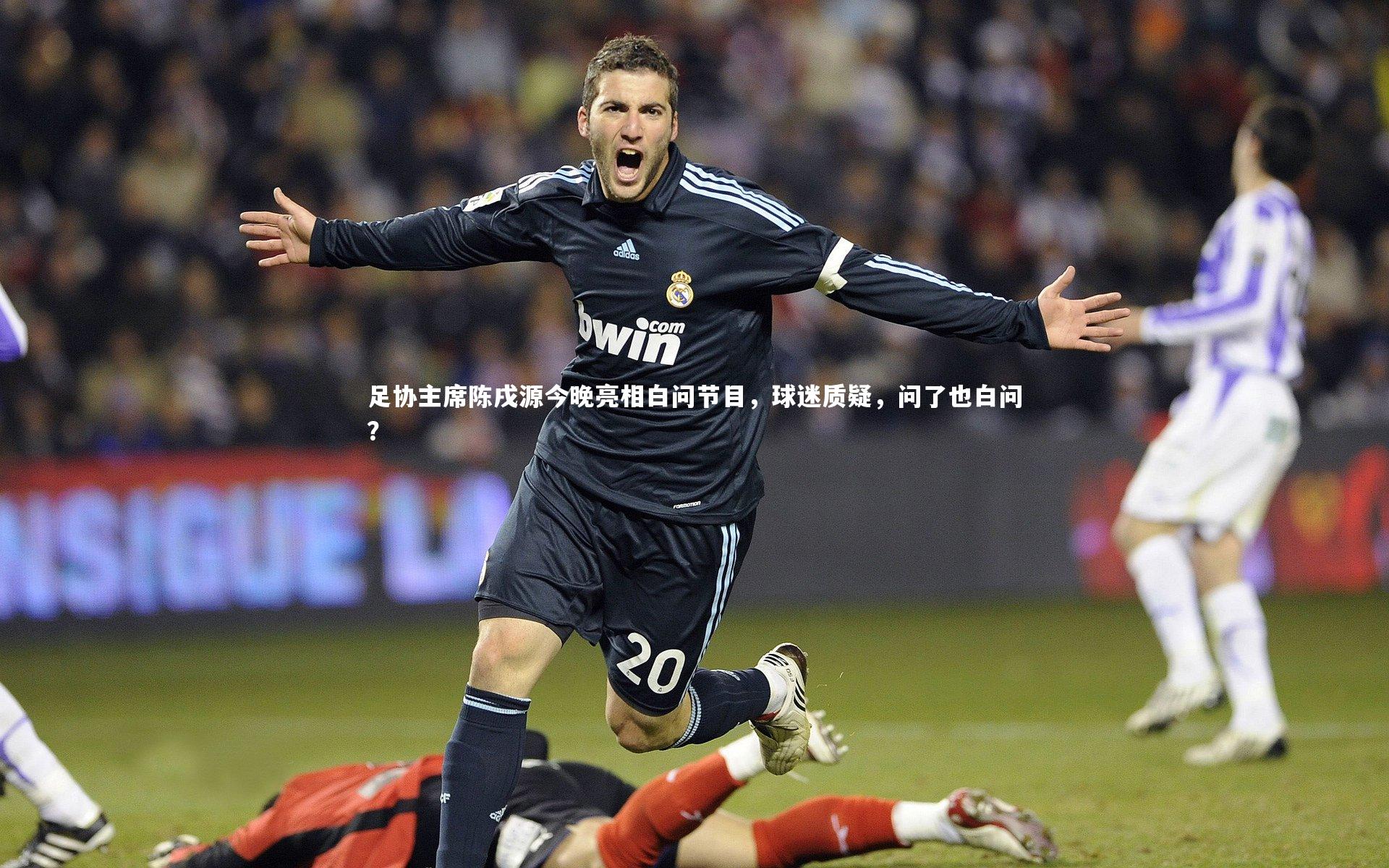 足协主席陈戌源今晚亮相白问节目，球迷质疑，问了也白问？